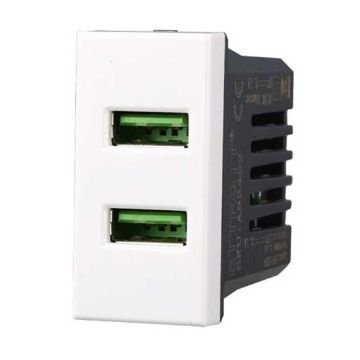 Chargeur avec 2 prises USB Type-A compatible Bticino Axolute 5Vdc 2.1A couleur blanc Ettroit AB2402