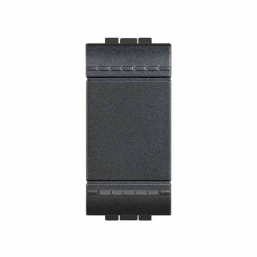 Bouton 1P NO 10 A 250 Vac - Antracite Bticino Livilight L4005N Bouton 1P NO 10 A 250 Vac - Antracite Bticino Livilight L4005N