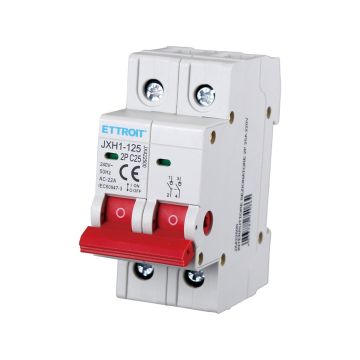 ETTROIT interrupteur-sectionneur 2P 25A 220V JX422500