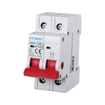 ETTROIT interrupteur-sectionneur 2P 40A 220V JX424000