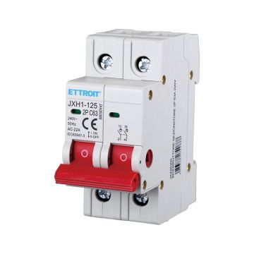 ETTROIT interrupteur-sectionneur 2P 63A 220V JX426300