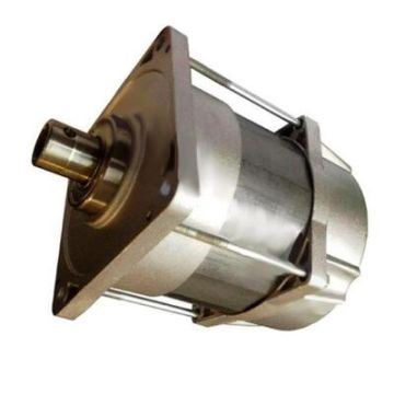 CAME motoréducteur de rechange pour portail battant FERNI F1024 - 119RID095 CAME motoréducteur de rechange pour portail battant FERNI F1024 - 119RID095