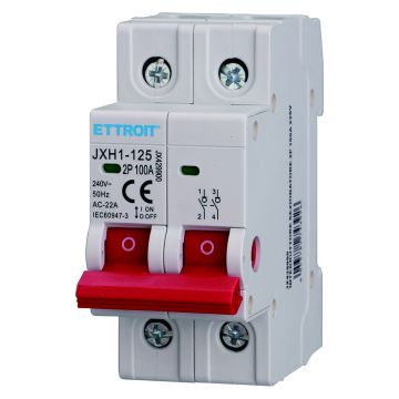Interrupteur-sectionneur ETTROIT pour rail DIN 2P 100 A 240 V - JX429900